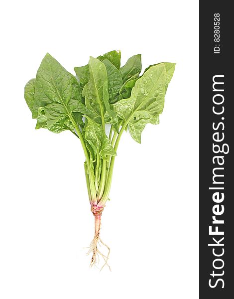 Fresh green spinach isolated on white background with water drops