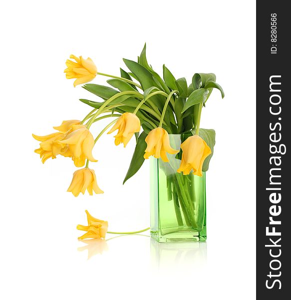 Bright yellow tulips isolated on white. Bright yellow tulips isolated on white