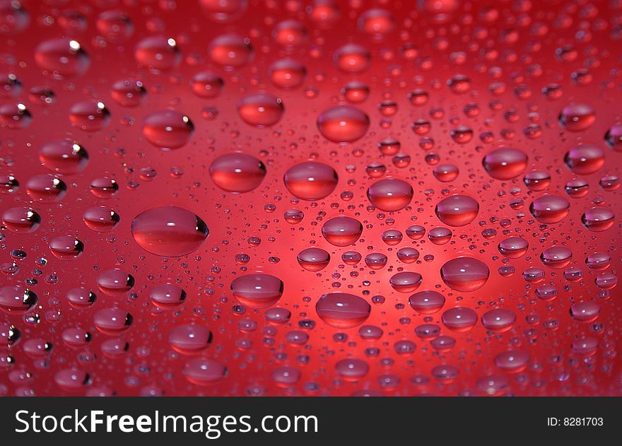 Drops after a rain on red. Drops after a rain on red