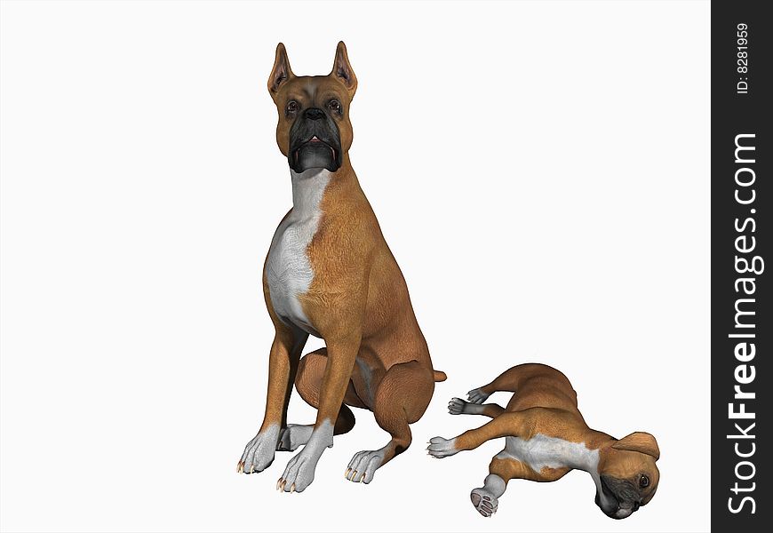 Boxer female and puppy, 3 dimensional model, computer generated image. Boxer female and puppy, 3 dimensional model, computer generated image.