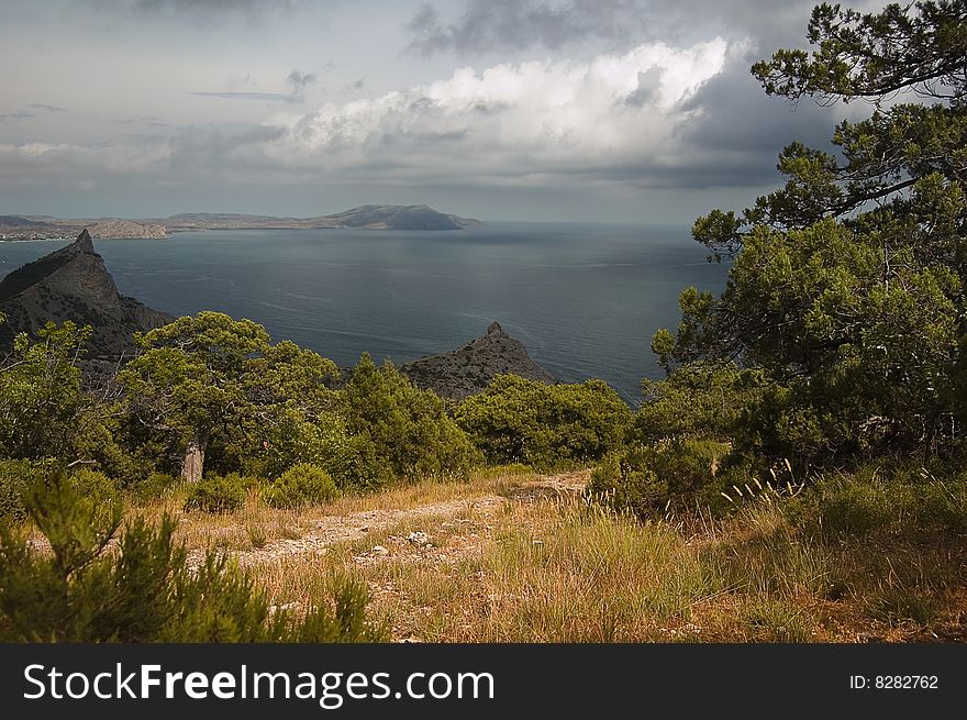 Trees and mountain at background of sea