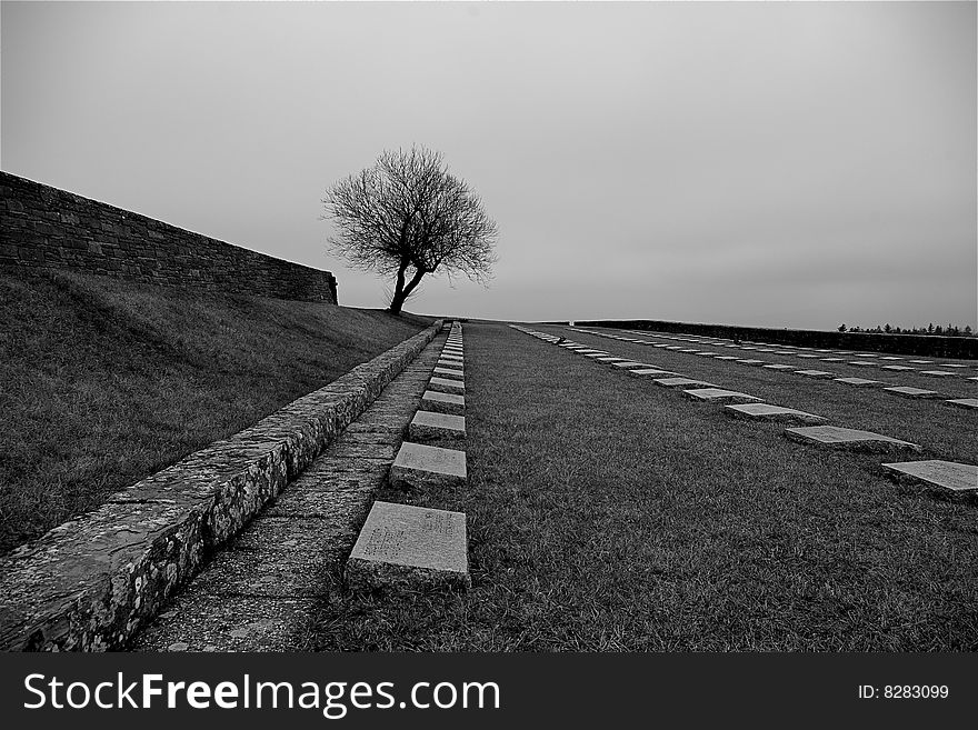War cemetery in Florence, Italy. War cemetery in Florence, Italy