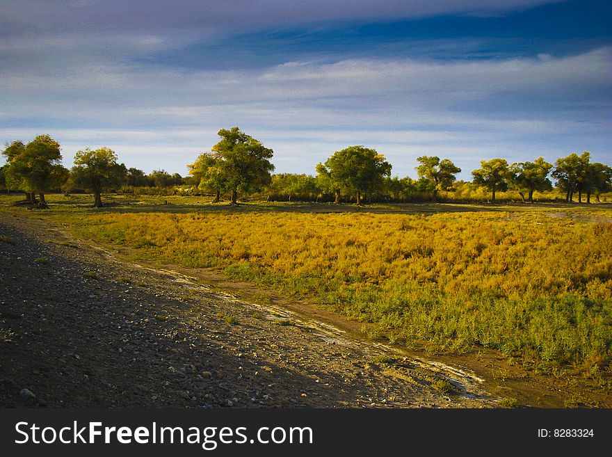 The big steppe of beauty, beautiful sky