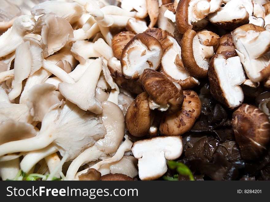 Mixed mushroom ready to serve including black fungus
