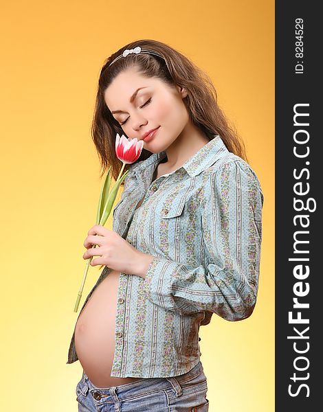 Young pregnant woman holding a tulip with eyes closed on yellow background