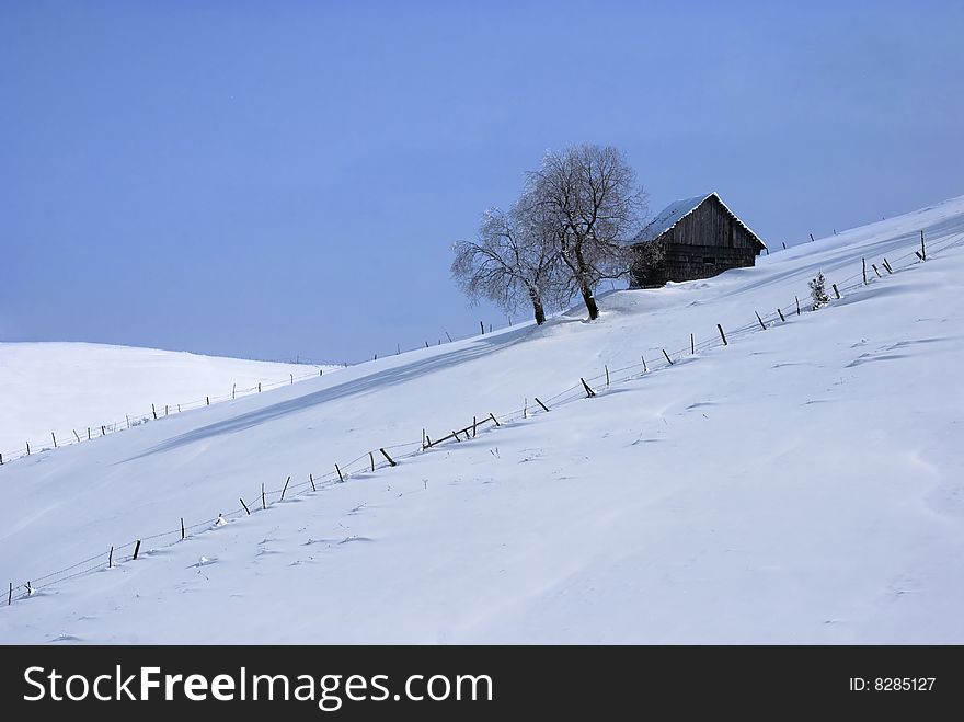 Winter landscape;Trees and house  in winter on a background of blue sky