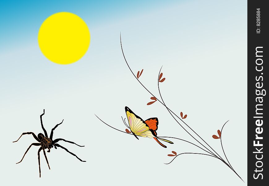 Spider and butterfly on blue background ,vector ,design concept