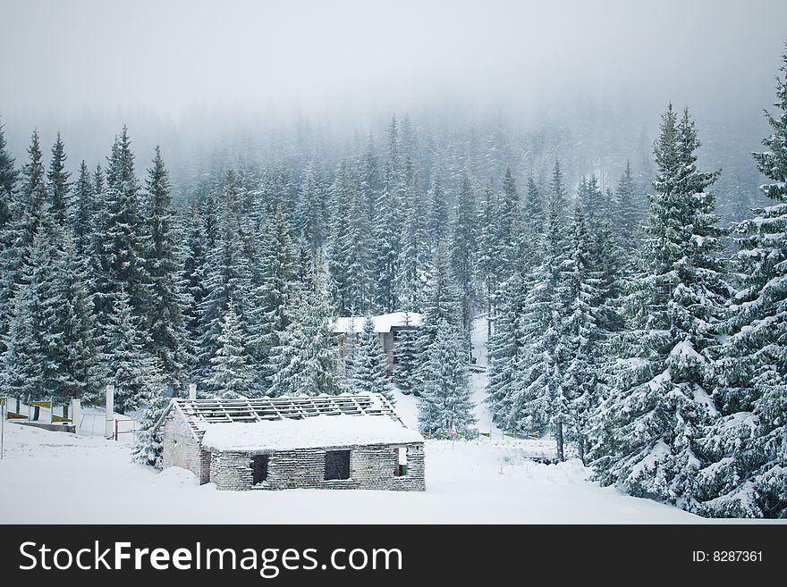 Old shabby house in the snowy forest