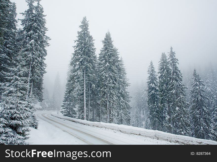 Empty snowy mountain road with forest