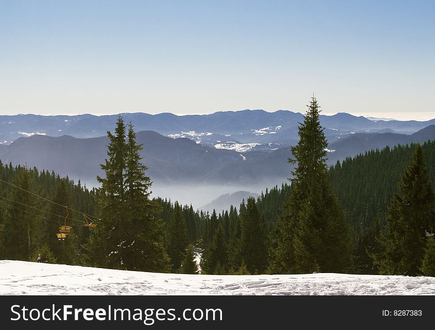 Mountain landscape with green forest and snow