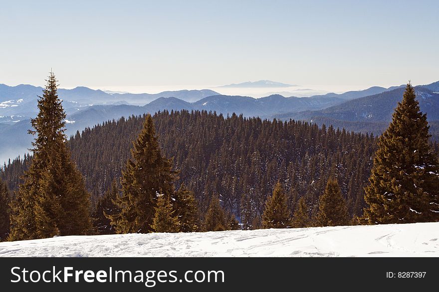 Mountain Landscape With Green Forest