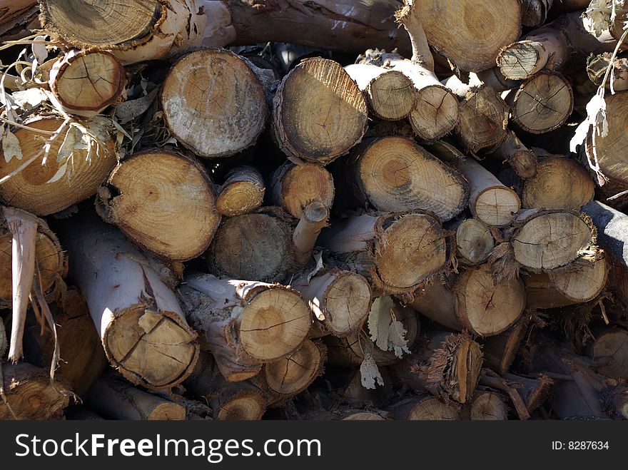 Stack of various pieces of firewood / cut branches. Stack of various pieces of firewood / cut branches