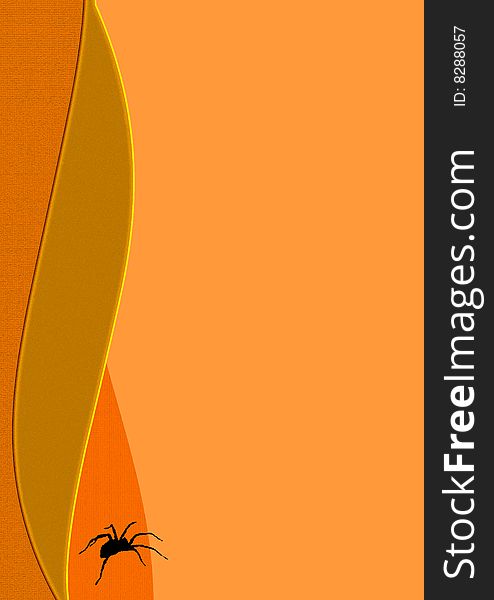 Blacj spider on orange background