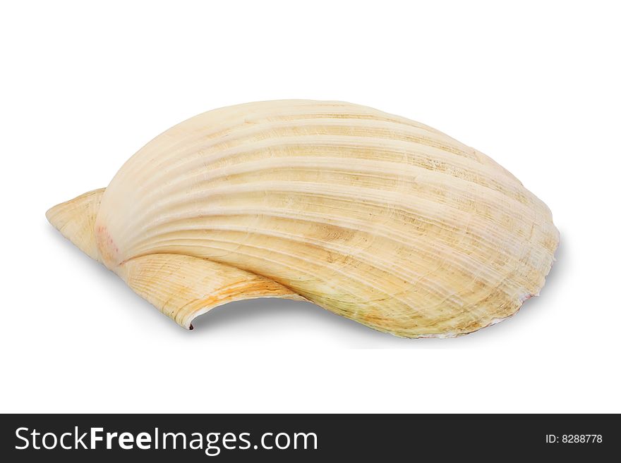 Shell