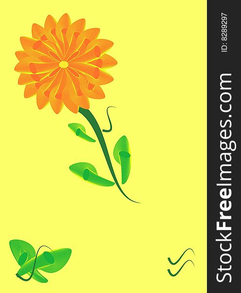 Orange flower on the yellow background