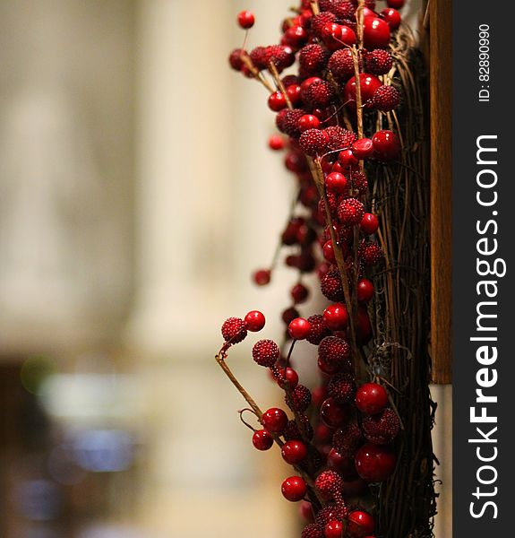 Wreath with berries hanging on end of library stacks. Wreath with berries hanging on end of library stacks