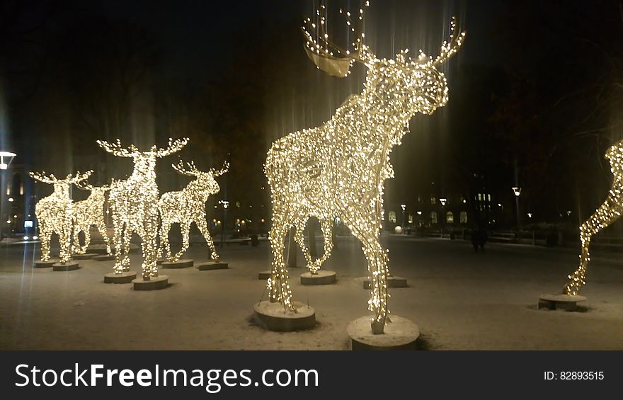 An outdoor light display with elks composed of lights. An outdoor light display with elks composed of lights.