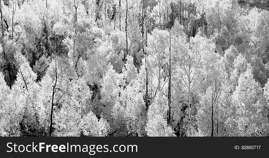 UTAH, 2016 Bw &x28;5&x29;