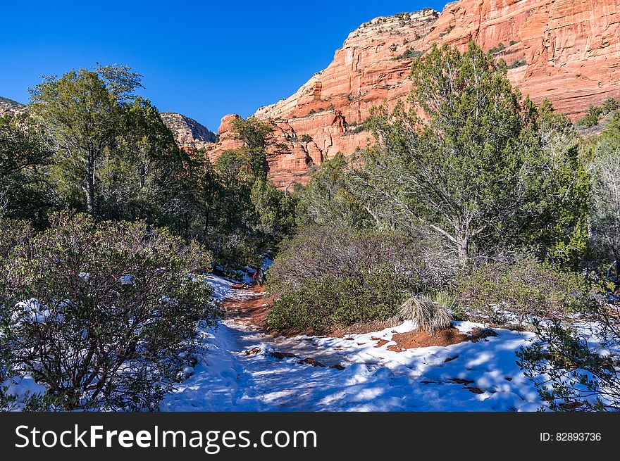 Fay Canyon is a favorite hike for many who prefer a shorter hike with minimal elevation gain or who enjoy the grandeur of red sandstone walls towering overhead. Some people visit Fay Canyon to see the natural arch located just under a half mile up the trail. Those who don&#x27;t know about it usually walk right past. Though the Fay Canyon Arch is by no means small, it looks so much like an ordinary rock overhang, it&#x27;s easy to glance right at it and not realize what you&#x27;ve seen. If you keep watching the rock wall to the north &#x28;right&#x29; side of the trail sooner or later you&#x27;ll spot it. This small, hidden canyon supports a diverse community of desert plants and provides good views of the surrounding cliffs. It dead ends at a red Supai sandstone cliff. Throughout Fay Canyon you can marvel at the breathtaking scenery that surrounds you. Photo by Deborah Lee Soltesz, January 5, 2011. Credit: Coconino National Forest, U.S. Forest Service. Learn more about hiking Fay Canyon Trail No. 53 in the Red Rock Ranger District of the Coconino National Forest.