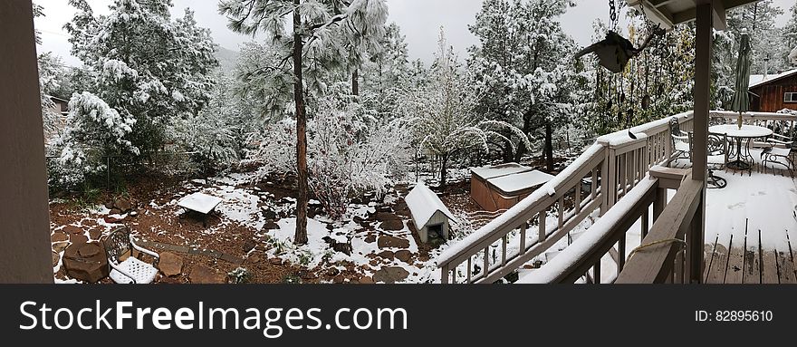 Backyard Pano in First Snow