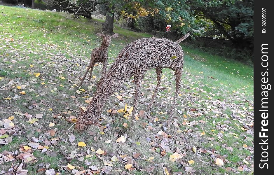 Deer Sculptures, Canonteign Falls, Nr Exeter