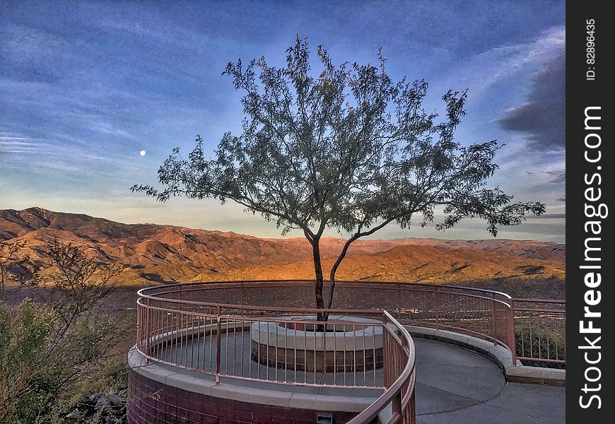 Single leafy tree on a viewpoint overlooking barren terrain with mountains in distance. Single leafy tree on a viewpoint overlooking barren terrain with mountains in distance.