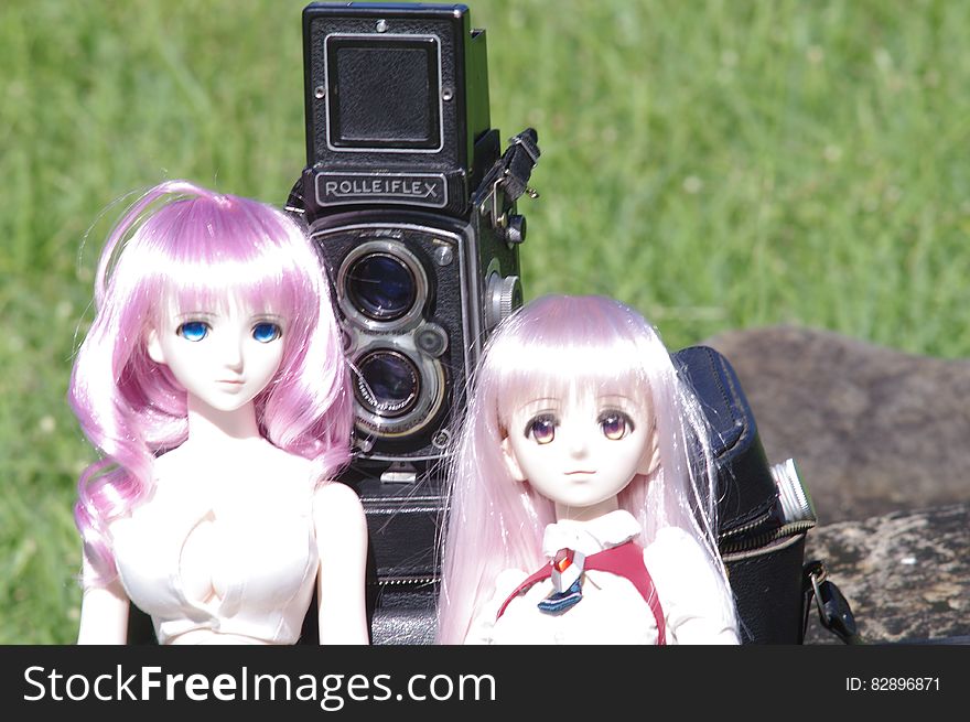Medium format twin lens reflex camera with viewfinder lid raised and two blond dolls seated on either side of the lenses, green field background. Medium format twin lens reflex camera with viewfinder lid raised and two blond dolls seated on either side of the lenses, green field background.