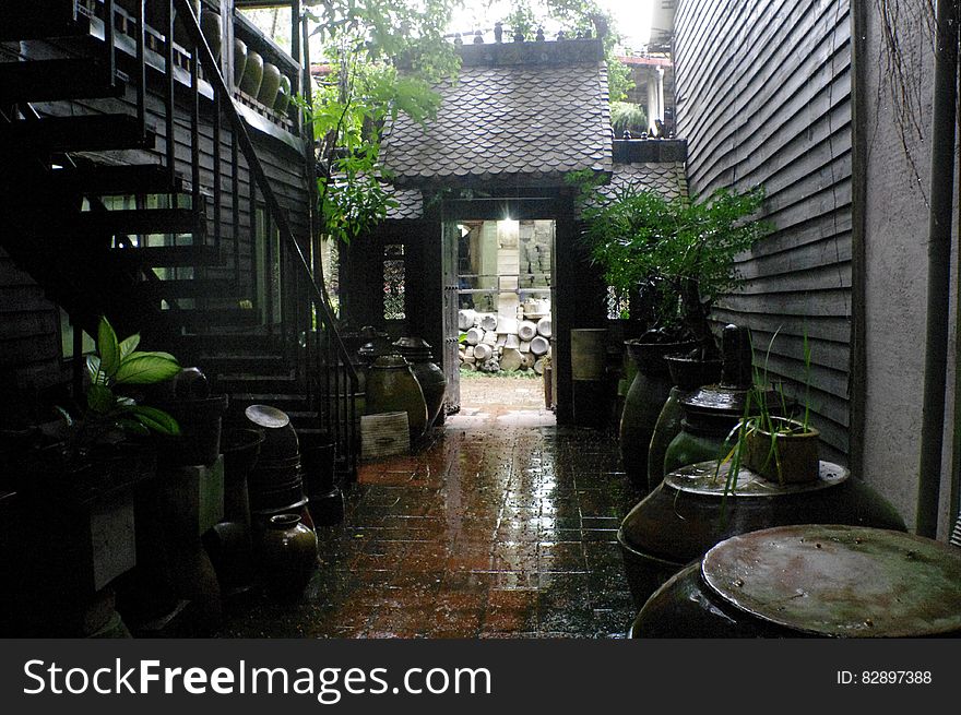 Scenic view of an old backyard with steps on a rainy day. Scenic view of an old backyard with steps on a rainy day.