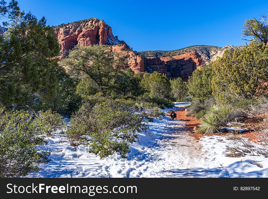 Fay Canyon is a favorite hike for many who prefer a shorter hike with minimal elevation gain or who enjoy the grandeur of red sandstone walls towering overhead. Some people visit Fay Canyon to see the natural arch located just under a half mile up the trail. Those who don&#x27;t know about it usually walk right past. Though the Fay Canyon Arch is by no means small, it looks so much like an ordinary rock overhang, it&#x27;s easy to glance right at it and not realize what you&#x27;ve seen. If you keep watching the rock wall to the north &#x28;right&#x29; side of the trail sooner or later you&#x27;ll spot it. This small, hidden canyon supports a diverse community of desert plants and provides good views of the surrounding cliffs. It dead ends at a red Supai sandstone cliff. Throughout Fay Canyon you can marvel at the breathtaking scenery that surrounds you. Photo by Deborah Lee Soltesz, January 5, 2011. Credit: Coconino National Forest, U.S. Forest Service. Learn more about hiking Fay Canyon Trail No. 53 in the Red Rock Ranger District of the Coconino National Forest.