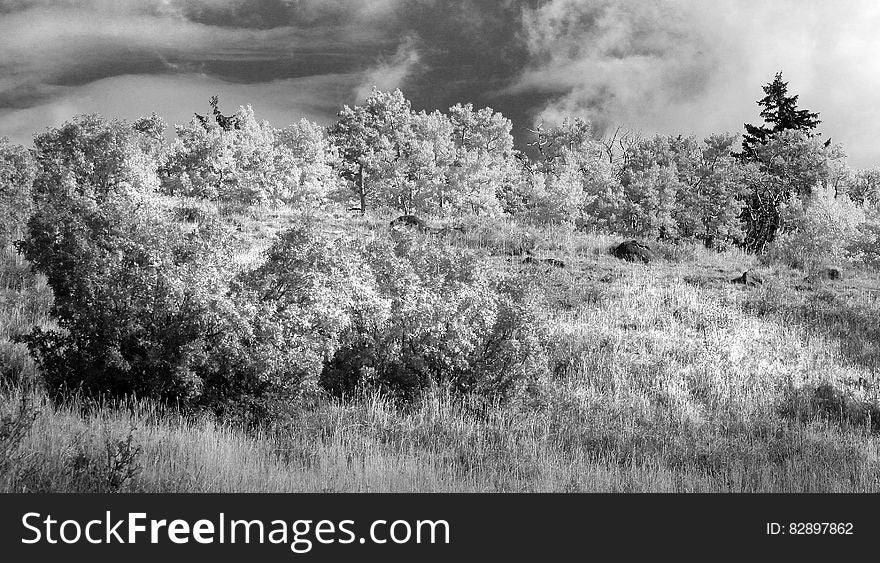 UTAH, 2016 Bw &x28;6b&x29;