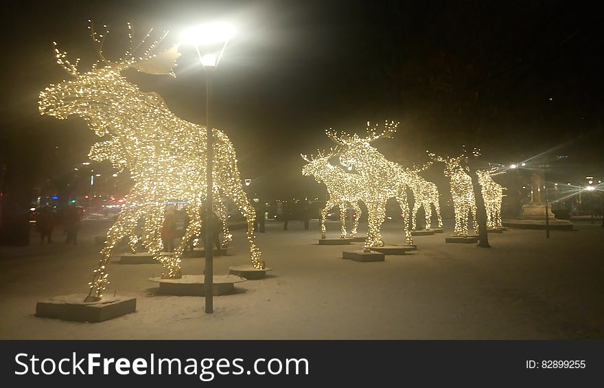 Moose or elk statuary illuminated at night in snow. Moose or elk statuary illuminated at night in snow.