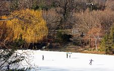 Ice Skaters Stock Images Ice Skaters Stock Images