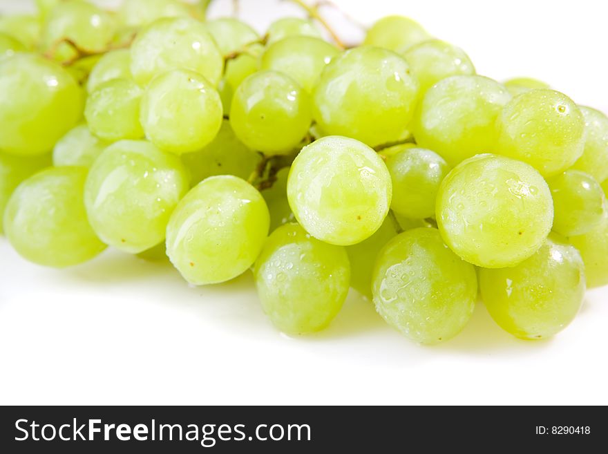 Wet white grapes on white ground