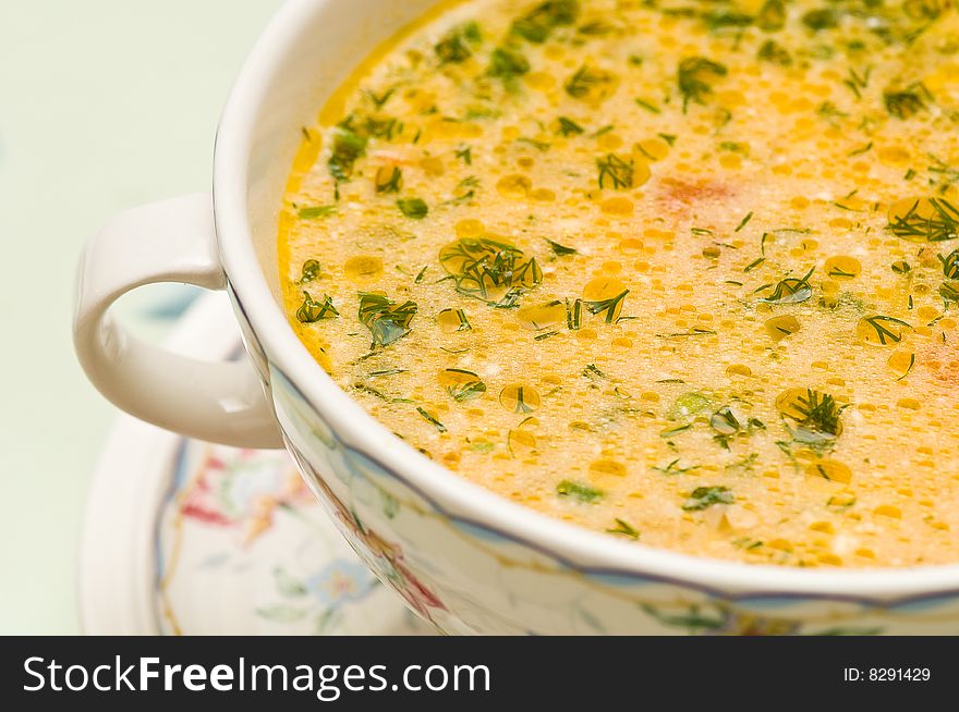 Tasty vegetable soup in the bowl