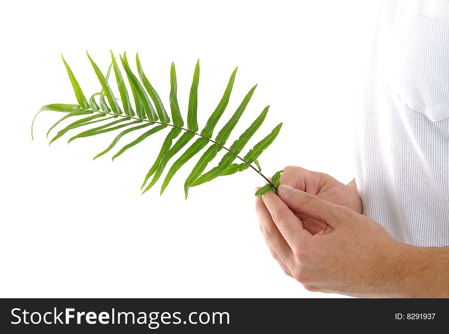 Man on holding a small plant. Man on holding a small plant