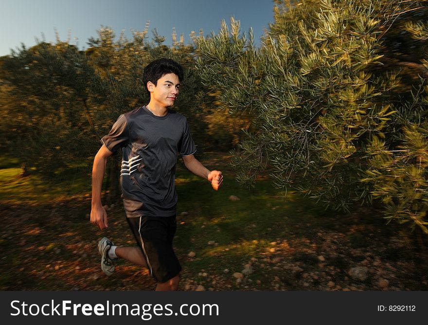 Young runner moving through sunlit olive grove.