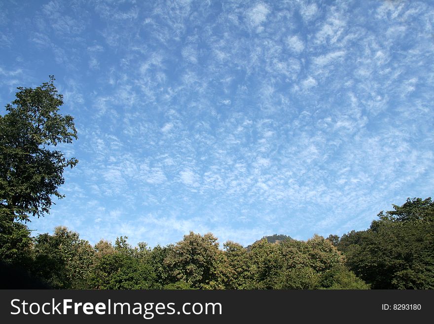Landscape studded with green trees, blue sky and scattered clouds