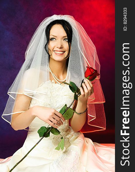 Studio portrait of a beautiful dreamy brunette bride holding a red rose in her hands. Studio portrait of a beautiful dreamy brunette bride holding a red rose in her hands