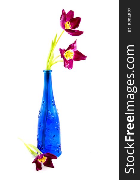 Blue bottle with purple tulips