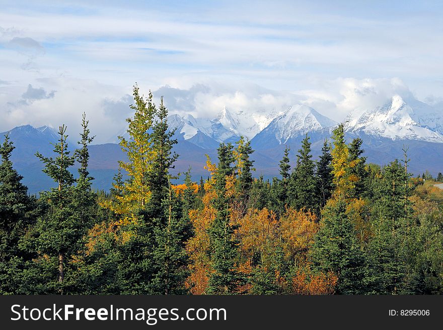 Forest and Mountains cover the Alaskan wilderness. Forest and Mountains cover the Alaskan wilderness