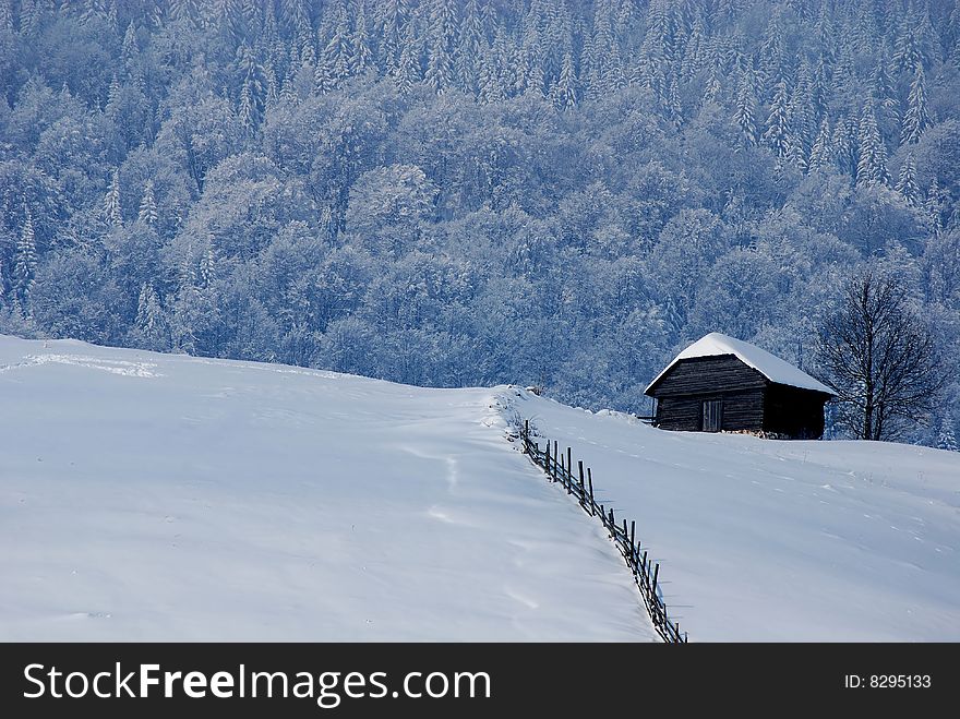 Winter landscape;Trees and house in winter on a background of snow covered trees