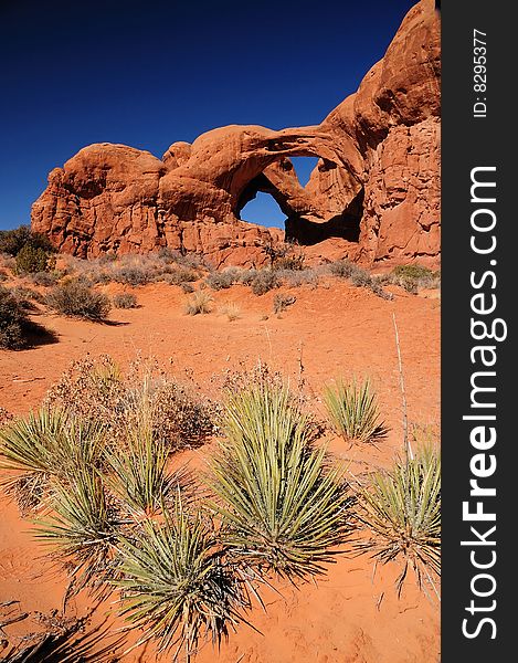 Rocky desert landscape with cactus in the foreground and double arch at Arches National Park