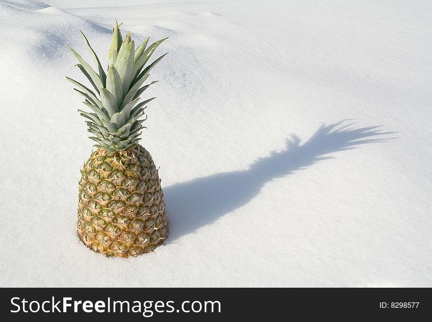 Frozen Pineapple with shadow. Shot on a snow background