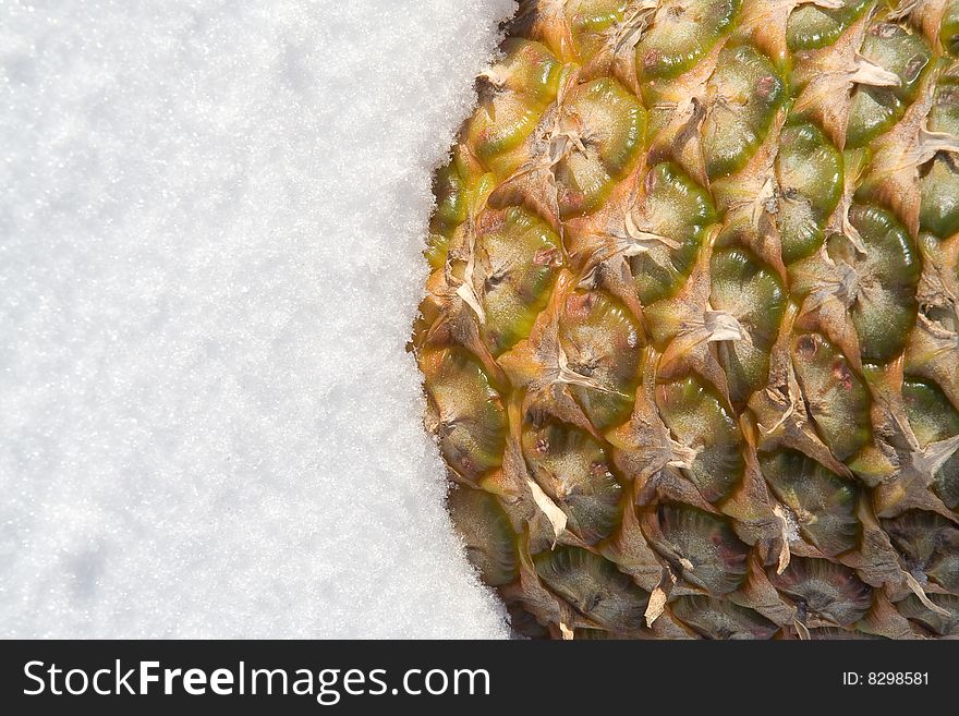 Frozen Pineapple. Shot on a snow background.