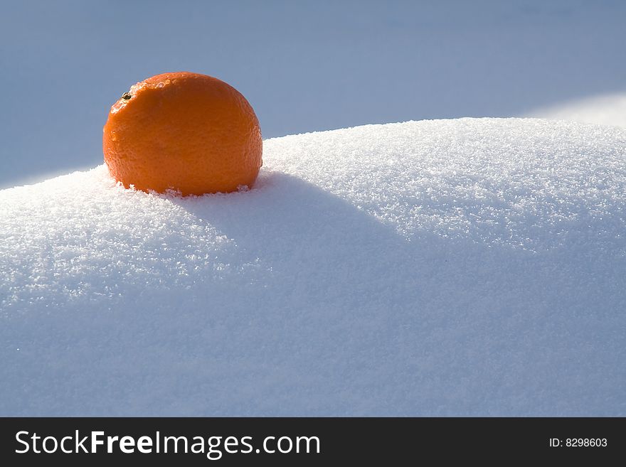 Shining orange on a white snow background