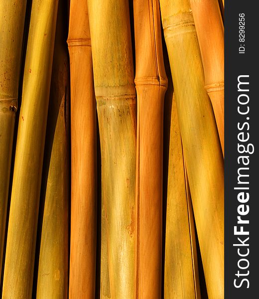 Abstract background from bamboo stalks