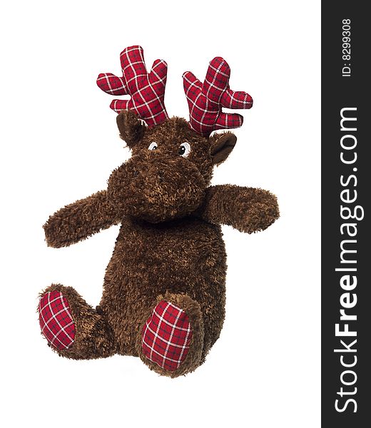 Toy Moose towards white background