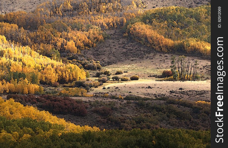 BOULDER MT, UT - 2016-09-30 Fall Color -01c