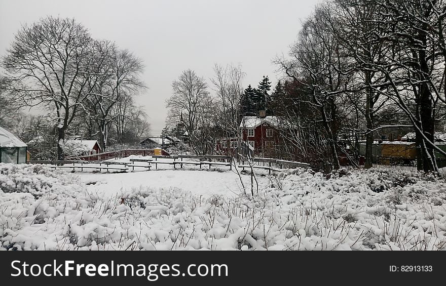 Snow covered paddock and trees outside farm house and buildings on overcast day. Snow covered paddock and trees outside farm house and buildings on overcast day.