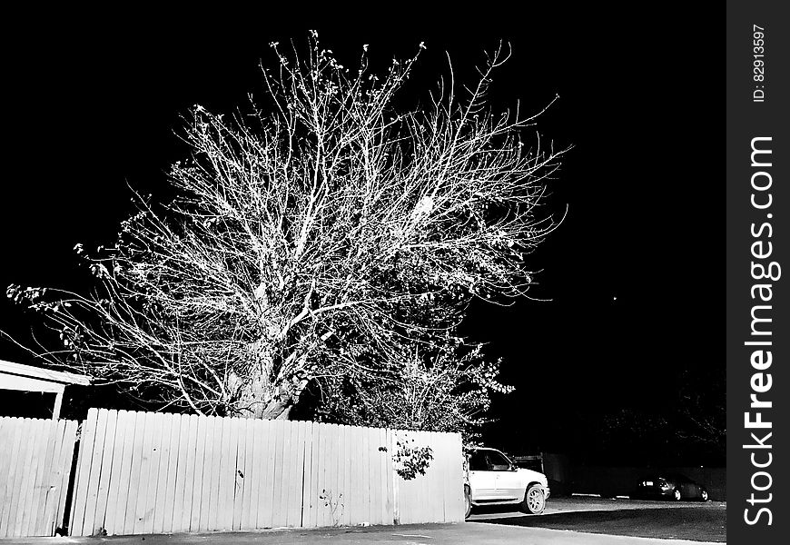 Tree behind fence outside house with parked vehicle in black and white at night. Tree behind fence outside house with parked vehicle in black and white at night.